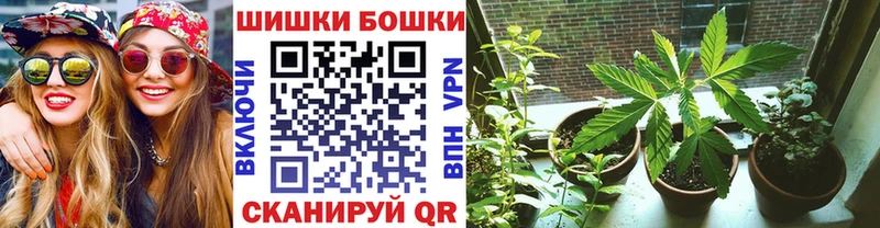 закладки  Пересвет  ОМГ ОМГ вход  Каннабис SATIVA & INDICA 